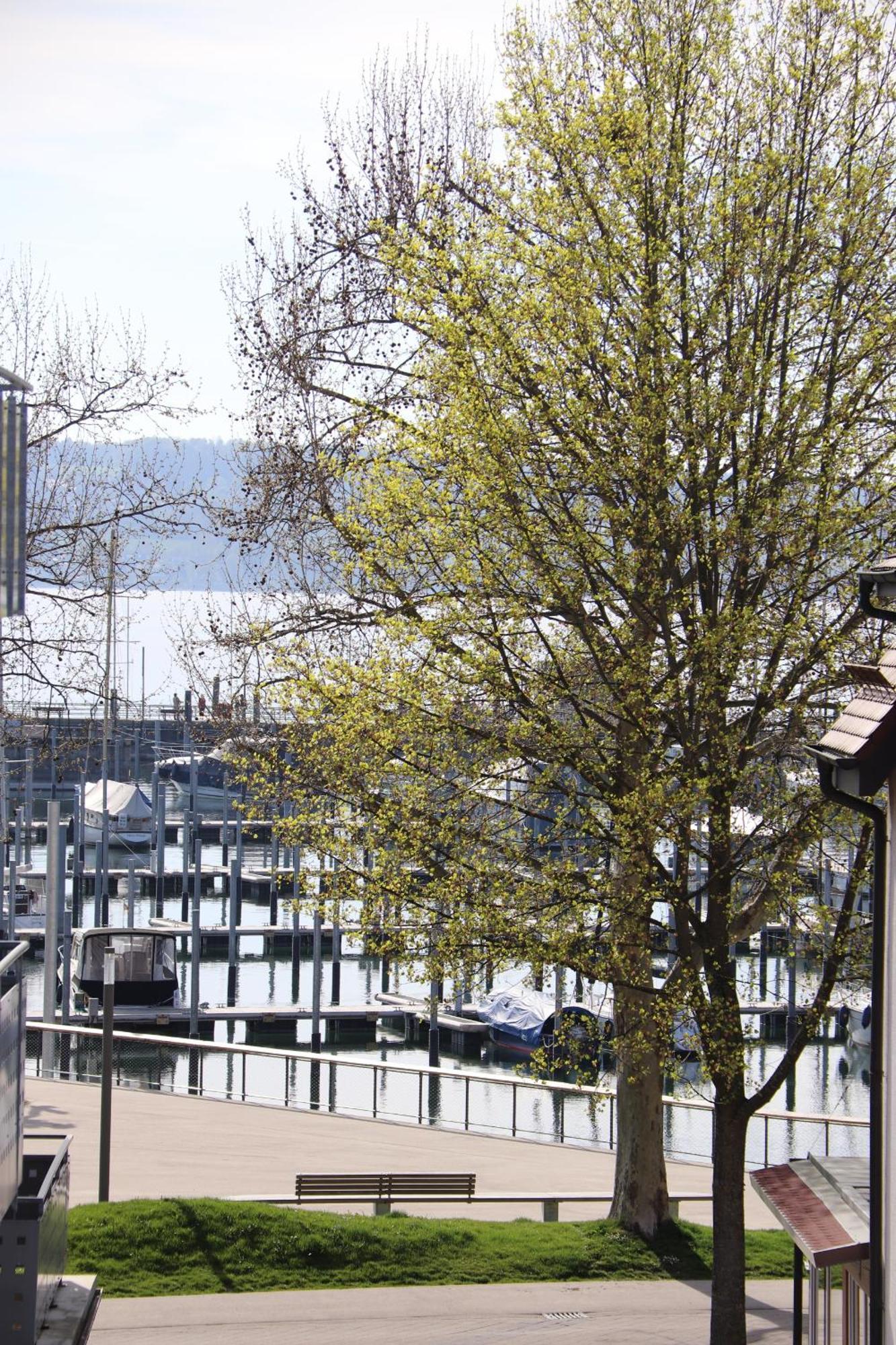 Gaestehaus Maeder Am Hafen Uhldingen-Mühlhofen Kamer foto