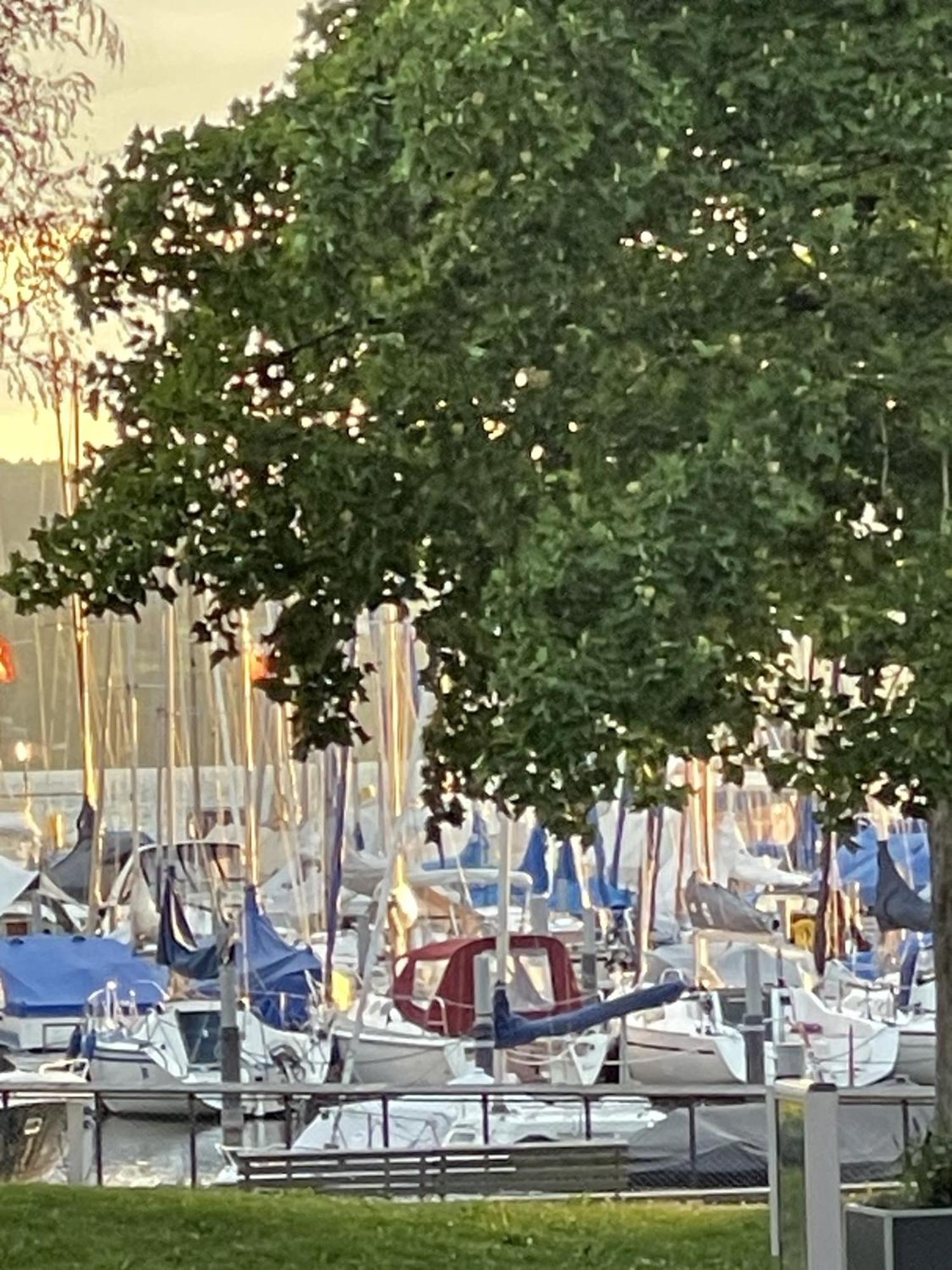 Gaestehaus Maeder Am Hafen Uhldingen-Mühlhofen Buitenkant foto